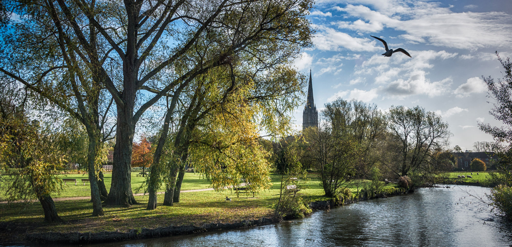 Salisbury