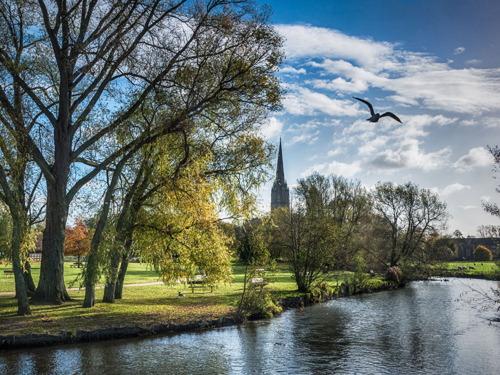 Salisbury Cathedral